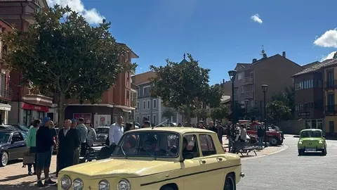 Coches clásicos (24)