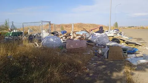 El PSOE denuncia el “penoso” estado de la limpieza en Valencia de Don Juan. Foto: PSOE
