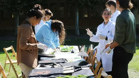 El campus de Vegazana acoge hasta el próximo jueves 25 de septiembre las Jornadas del Estudiante 2025 que ofertan cerca de medio centenar de actividades de ocio, cultura, deporte y formación con las que dar la bienvenida a los que comienzan sus estudios en la Universidad de León