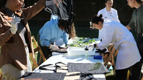 El campus de Vegazana acoge hasta el próximo jueves 25 de septiembre las Jornadas del Estudiante 2025 que ofertan cerca de medio centenar de actividades de ocio, cultura, deporte y formación con las que dar la bienvenida a los que comienzan sus estudios en la Universidad de León