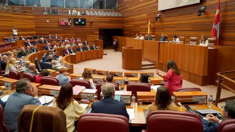 Primera sesión del Pleno de las Cortes de Castilla y León. Fotos: Leticia Pérez