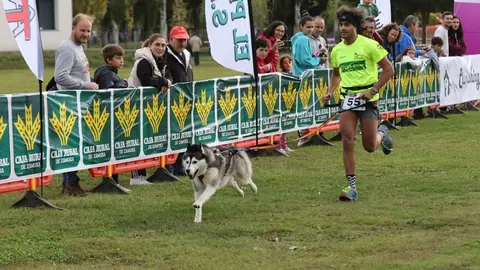 Tras el éxito de la pasada edición del Mushing Coyanza (en la imagen), este año la segunda edición se celebrará los días 18 y 19 de octubre en Valencia de Don Juan.