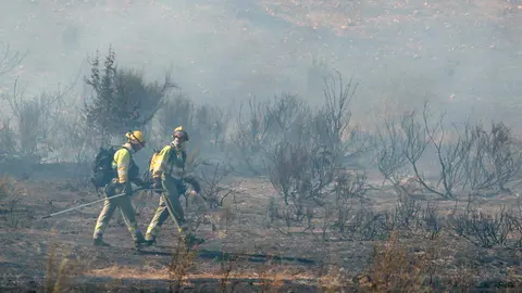 Una veintena de medios trabajan para intentar sofocar el incendio declarado en las cercanías de Villasinta de Torío, en el municipio de Villaquilambre, que ha alcanzado el nivel 2. Fotos: Peio García