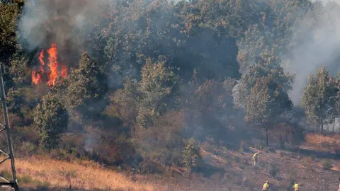 Una veintena de medios trabajan para intentar sofocar el incendio declarado en las cercanías de Villasinta de Torío, en el municipio de Villaquilambre, que ha alcanzado el nivel 2. Fotos: Peio García