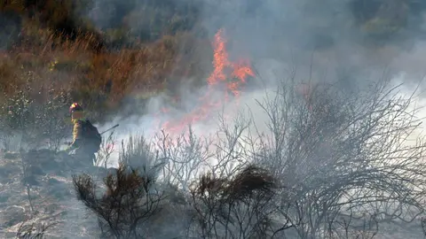Una veintena de medios trabajan para intentar sofocar el incendio declarado en las cercanías de Villasinta de Torío, en el municipio de Villaquilambre, que ha alcanzado el nivel 2. Fotos: Peio García