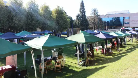 Durante toda la semana, el estudiantado de la Universidad de León está disfrutando de las ‘Jornadas del estudiante’ que este jueves han llegado a su día central en el que se concentra la mayor parte de la programación con la Feria del Estudiante como eje central.