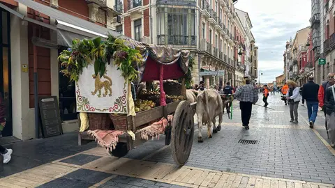 El Claustro de la Catedral ha sido un año más el escenario de la ceremonia del Foro u Oferta de Las Cantaderas, con la participación de la Corporación Municipal encabezada por el alcalde, José Antonio Diez. Este año, el concejal Jon Fernández ejerció como síndico municipal, mientras que el Cabildo Catedralicio estuvo representado por Mario González. Foto: Ayto de León