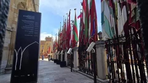 El Desfile de Pendones Concejiles de León reúne a 357 varas en representación de más de 230 pueblos. Foto: Carlos Calvo