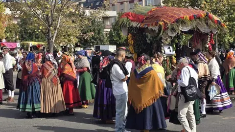 El desfile y concurso de carros engalanados completa la mañana del domingo en León en las fiestas de San Froilán. Foto: Carlos Calvo