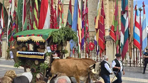 El desfile y concurso de carros engalanados completa la mañana del domingo en León en las fiestas de San Froilán. Foto: Carlos Calvo