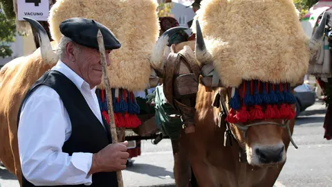 El desfile y concurso de carros engalanados completa la mañana del domingo en León en las fiestas de San Froilán. Foto: Peio García