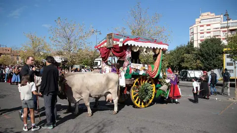 El desfile y concurso de carros engalanados completa la mañana del domingo en León en las fiestas de San Froilán. Foto: Peio García