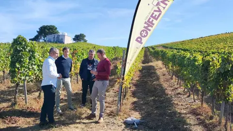 Ponfevin 2025 llenará Ponferrada de vino y música el 10 y 11 de octubre. La feria reunirá a 21 bodegas en el bulevar de la Rosaleda con degustaciones, música en directo y actividades para todos los públicos.