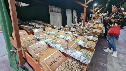 El Mercado Medieval de las Tres Culturas abrió este jueves sus puertas en León con una masiva afluencia de público. Miles de personas acudieron a la inauguración de esta cita ya consolidada en el marco de las fiestas de San Froilán