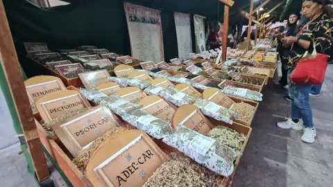 El Mercado Medieval de las Tres Culturas abrió este jueves sus puertas en León con una masiva afluencia de público. Miles de personas acudieron a la inauguración de esta cita ya consolidada en el marco de las fiestas de San Froilán
