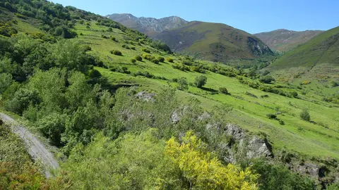 El Castro de Chano en el Valle de Fornela. Foto: César Hornija.