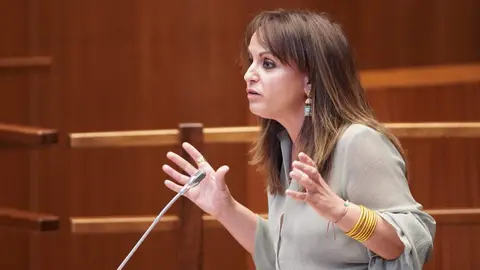 Celebración del pleno de las Cortes de Castilla y León, de nuevo con duros ataques entre el equipo del presidente del Ejecutivo autonómico y la oposición. Fotos: Rubén Cacho