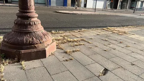 UPL exige al Ayuntamiento de León la reparación urgente del pavimento de la plaza de San Marcos