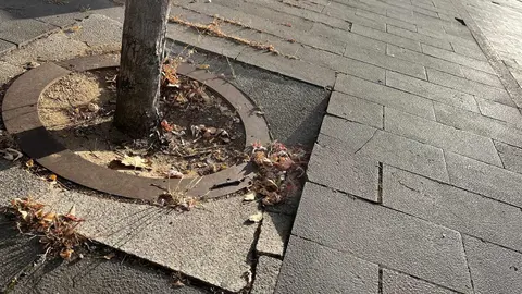 UPL exige al Ayuntamiento de León la reparación urgente del pavimento de la plaza de San Marcos