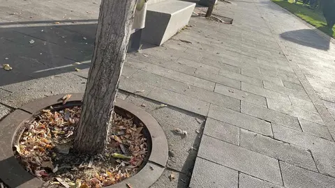UPL exige al Ayuntamiento de León la reparación urgente del pavimento de la plaza de San Marcos
