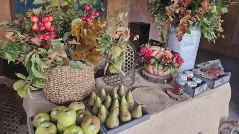 La Domus de Carucedo acogió una inauguración cargada de emoción y orgullo berciano, con Serafina Morán como mantenedora y un mensaje claro: “Los incendios no se extinguen cuando se apagan las llamas”.