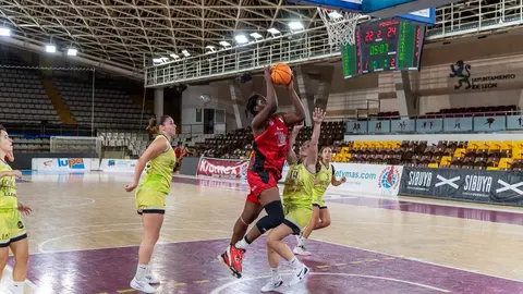 El Mipelletymás B.F. León firma una gran remontada en el Palacio y se impone a un combativo Robles Lleida en un partido intenso. Foto: Raúl Quijada