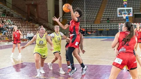 El Mipelletymás B.F. León firma una gran remontada en el Palacio y se impone a un combativo Robles Lleida en un partido intenso. Foto: Raúl Quijada
