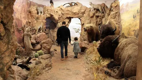 El Museo de la Fauna Salvaje de Valdehuesa celebra dos décadas como referente mundial. Más de 600.000 visitantes y 8.000 especies naturalizadas avalan los veinte años de vida de un espacio único en plena montaña leonesa. Fotos: Campillo y Peio García