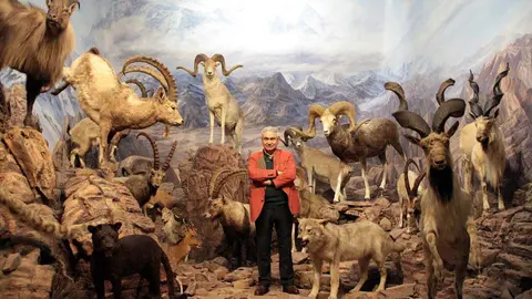 El Museo de la Fauna Salvaje de Valdehuesa celebra dos décadas como referente mundial. Más de 600.000 visitantes y 8.000 especies naturalizadas avalan los veinte años de vida de un espacio único en plena montaña leonesa. Fotos: Campillo y Peio García