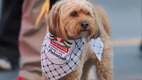 Concentración frente a Botines en la tarde del miércoles contra el genocidio de Israel en Gaza. Foto: Peio García