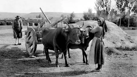 Val de San Lorenzo, el corazón textil que late entre los montes de la Maragatería. La antigua capital artesanal de la lana reivindica hoy su legado y su identidad cultural a través de telares en activo, museos y un patrimonio arquitectónico que conserva la esencia de la tradición maragata. Imágenes de Val de San Lorenzo, por Aniceto G. Villar. Cortesía A. Granadero.