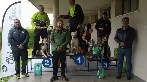 El mushing se consolida en Valencia de Don Juan con un gran campeonato.