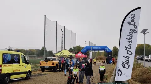 El mushing se consolida en Valencia de Don Juan con un gran campeonato.