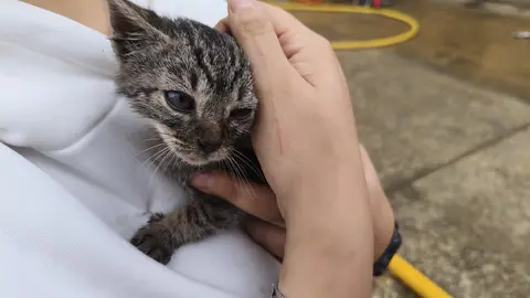La planta inferior de una vivienda en Pajares de los Oteros se vio afectada y los bomberos tuvieron que rescatar a un gato.