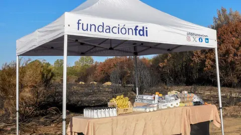 Más de un centenar de voluntarios “curan” el río Eria en la primera gran facendera de Tierras Quemadas. Vecinos de toda la provincia, junto a 45 voluntarios de Iberdrola, participaron en una jornada de trabajo comunitario en Pinilla de la Valdería para proteger el cauce del Eria, reforestar con especies autóctonas y preservar una antigua mina romana. Fotos: Isabel Turrado y María Jesús González