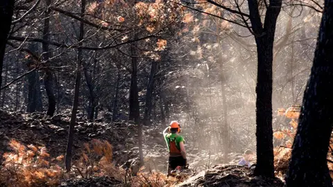 Más de un centenar de voluntarios “curan” el río Eria en la primera gran facendera de Tierras Quemadas. Vecinos de toda la provincia, junto a 45 voluntarios de Iberdrola, participaron en una jornada de trabajo comunitario en Pinilla de la Valdería para proteger el cauce del Eria, reforestar con especies autóctonas y preservar una antigua mina romana. Fotos: Isabel Turrado y María Jesús González