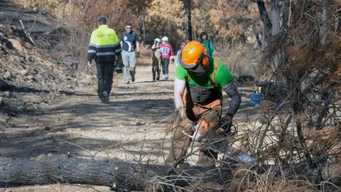 Más de un centenar de voluntarios “curan” el río Eria en la primera gran facendera de Tierras Quemadas. Vecinos de toda la provincia, junto a 45 voluntarios de Iberdrola, participaron en una jornada de trabajo comunitario en Pinilla de la Valdería para proteger el cauce del Eria, reforestar con especies autóctonas y preservar una antigua mina romana. Fotos: Isabel Turrado y María Jesús González
