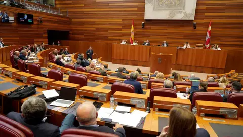 Primera sesión del pleno de las Cortes de Castilla y León, que comienza con las preguntas de control al Ejecutivo. Fotos: Leticia Pérez