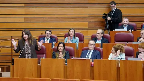 Primera sesión del pleno de las Cortes de Castilla y León, que comienza con las preguntas de control al Ejecutivo. Fotos: Leticia Pérez