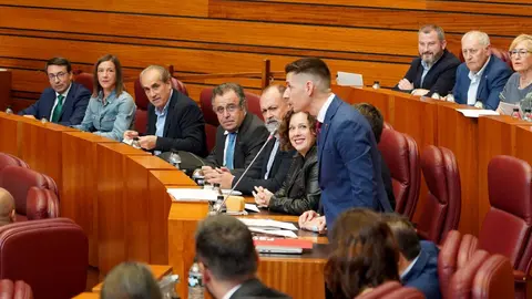 Primera sesión del pleno de las Cortes de Castilla y León, que comienza con las preguntas de control al Ejecutivo. Fotos: Leticia Pérez