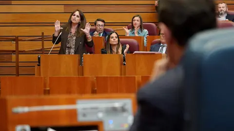Primera sesión del pleno de las Cortes de Castilla y León, que comienza con las preguntas de control al Ejecutivo. Fotos: Leticia Pérez