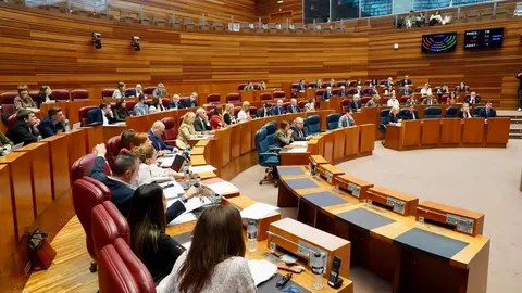 Votación en el pleno de las Cortes. Foto: Miriam Chacón.