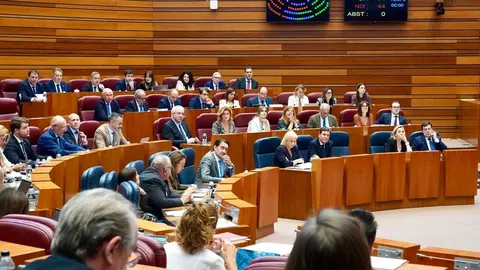 Votación en contra de la creación de una comisión de incendios en el Pleno de las Cortes. Foto: Miriam Chacón.