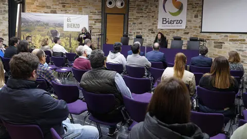 La alcaldesa de Cacabelos, Irene González, junto al presidente de la Diputación de León, Gerardo Álvarez Courel, y el presidente del Consejo Comarcal del Bierzo, Olegario Ramón, este jueves durante la inauguración de la jornada ‘El Bierzo que viene’ del Banco de Tierras del Consejo Comarcal del Bierzo. Foto: César Sánchez.