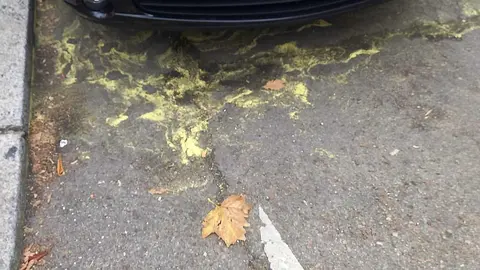 El barrio de San Claudio se tiñe de amarillo cada vez que llueve. Los vecinos de León capital denuncian  la aparición recurrente de manchas amarillas en las calles del barrio La explicación no existe a este fenómeno si bien se apunta al polen de las coníferas del Paseo de la Condesa como posible causa. Fotos: A.V.