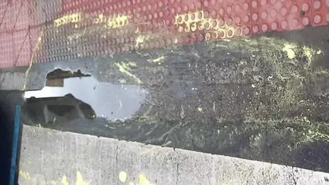 El barrio de San Claudio se tiñe de amarillo cada vez que llueve. Los vecinos de León capital denuncian  la aparición recurrente de manchas amarillas en las calles del barrio La explicación no existe a este fenómeno si bien se apunta al polen de las coníferas del Paseo de la Condesa como posible causa. Fotos: A.V.