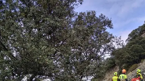 Muere un corredor de montaña tras caer por un barranco de 20 metros en Ponferrada. El Centro Coordinador de Emergencias del 1-1-2 movilizó un amplio dispositivo con helicópteros y efectivos sanitarios, pero los servicios de rescate solo pudieron confirmar el fallecimiento del deportista.
