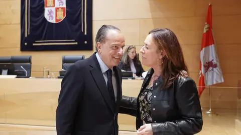 El presidente del Consejo de Cuentas de Castilla y León, Mario Amilivia, presenta en la Comisión de Economía y Hacienda el informe ‘Análisis del nivel de prestación y asistencia de la Diputación de León a los pequeños municipios, ejercicio 2019-2022’, así como el informe ‘Análisis del nivel de prestación y asistencia del Consejo Comarcal del Bierzo a los pequeños municipios, ejercicio 2019-2022’. Foto: Rubén Cacho.