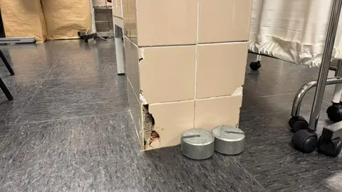 CCOO exige soluciones urgentes ante el 