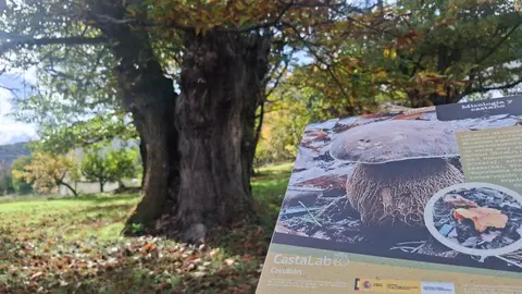 El subdelegado del Gobierno en León, Héctor Aláiz, visitó este martes Corullón junto al alcalde para conocer los proyectos financiados con fondos estatales y europeos. Foto: Gob. España